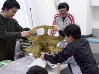 博物館自然教室「恐竜の骨格を調べよう！」のイメージ