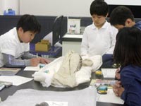 博物館自然教室「恐竜の骨格を調べよう！骨化石の観察」のイメージ