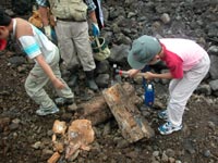 野外観察会「岐阜県瑞浪層群の化石」のイメージ