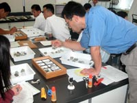 代表的な鉱物についてルーペで確認