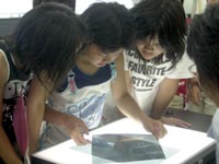 偏光板の角度によって変化する事を確認