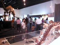 特別展会場のようす