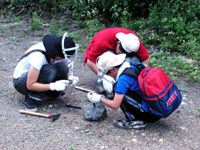 博物館自然教室「恐竜化石発掘現場見学」のイメージ