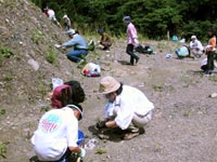 たんねんに探してみてください