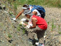 博物館自然教室「恐竜化石発掘現場見学」のイメージ