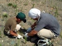 この石から化石が見つかるかな？