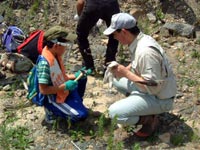 何の化石か見てあげましょう