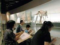 復元画は骨の観察が非常に重要です。