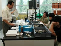 博物館自然教室「恐竜時代の植物を探ろう！顕微鏡で見る材化石」のイメージ