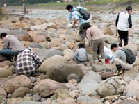 石徹白川沿いで地層を見学
