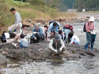 地層をよく観察しています