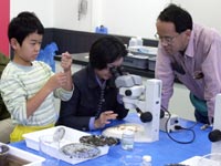 博物館自然教室「化石の植物を調べよう！石から『たね』の化石を取り出そう！」のイメージ