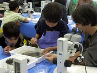 処理した地層を静かにより分けます。