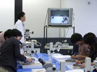 何の化石なのか考えてみましょう。