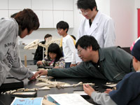 博物館自然教室「骨のパズルで遊ぼう！骨化石研究の基礎」のイメージ
