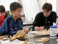 骨同士似ているので、同定には苦労します。