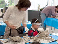 貝化石をていねいに取り出しましょう。