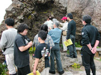 梅浦で地層の観察
