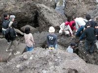 銭ヶ浜で岩脈の観察