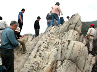 軍艦島で生痕化石の観察