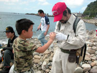 採集した化石を観察する