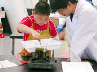 博物館自然教室「葉脈標本をつくろう！」のイメージ