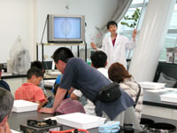 葉を処理して標本にする手順を説明