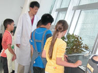 今回処理をするための葉を選ぶ