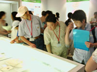 貴重な実物標本に興味津々です。