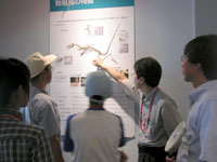 始祖鳥と鳥や恐竜との違いを解説します。