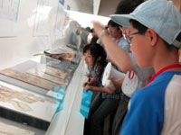 遼寧省などからの羽毛恐竜です。