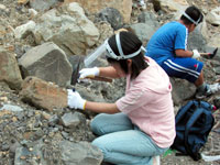 ハンマーで注意深く岩を割ります。