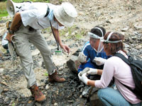 化石かどうか、職員に聞いています。