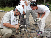 何か良いものが見つかったのでしょうか