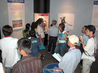 特別展ツアー「特別展の展示解説③」のイメージ