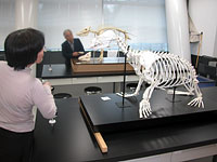 何を特徴にグループ分けできるでしょうか。