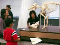 じっくり見ることで特徴のヒントが見えてきます。