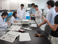 地学指導者実技講座「岩石の鑑定と分類」のイメージ