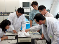 プレパラートに接着したのち研磨