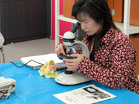 研磨した岩石切片を顕微鏡で観察