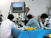 授業での活用方法について解説