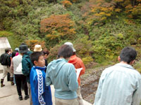 野外観察会「紅葉の法恩寺山・経ヶ岳周辺の地学散策」のイメージ