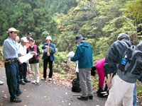 紅葉の映える山に分け入っての観察会