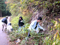 実際に観察して説明を理解していきます