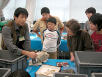 化石の取り出し方（クリーニング）解説