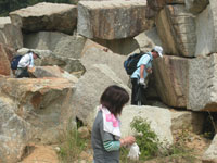 野外観察会「どこで水晶が見つかるの？岐阜県のペグマタイト(巨晶花崗岩)観察会」のイメージ