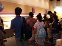 すばらしい標本を見て回ります