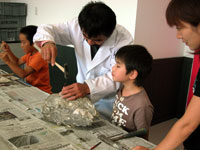 博物館自然教室「貝化石のクリーニングをしよう！」のイメージ