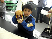 博物館自然教室「いろんな骨をくらべよう！」のイメージ