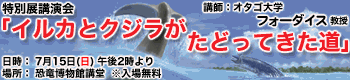 特別展講演会「イルカとクジラがたどってきた道」